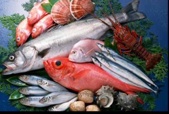 為了50年後有魚可吃，這七種海鮮要注意！
